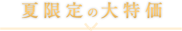 夏限定の大特価